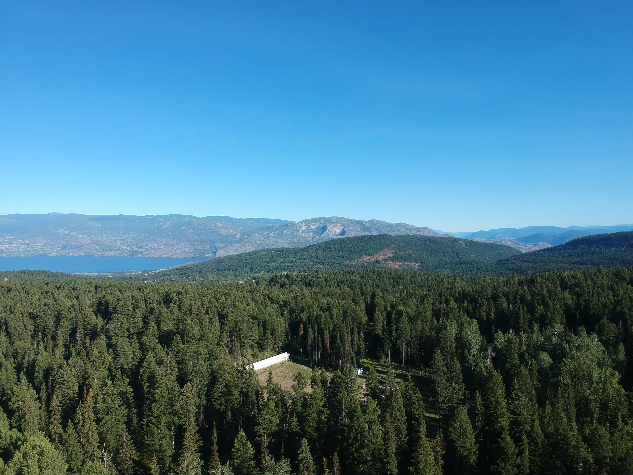 Aerial view of forest, mountains, and lake