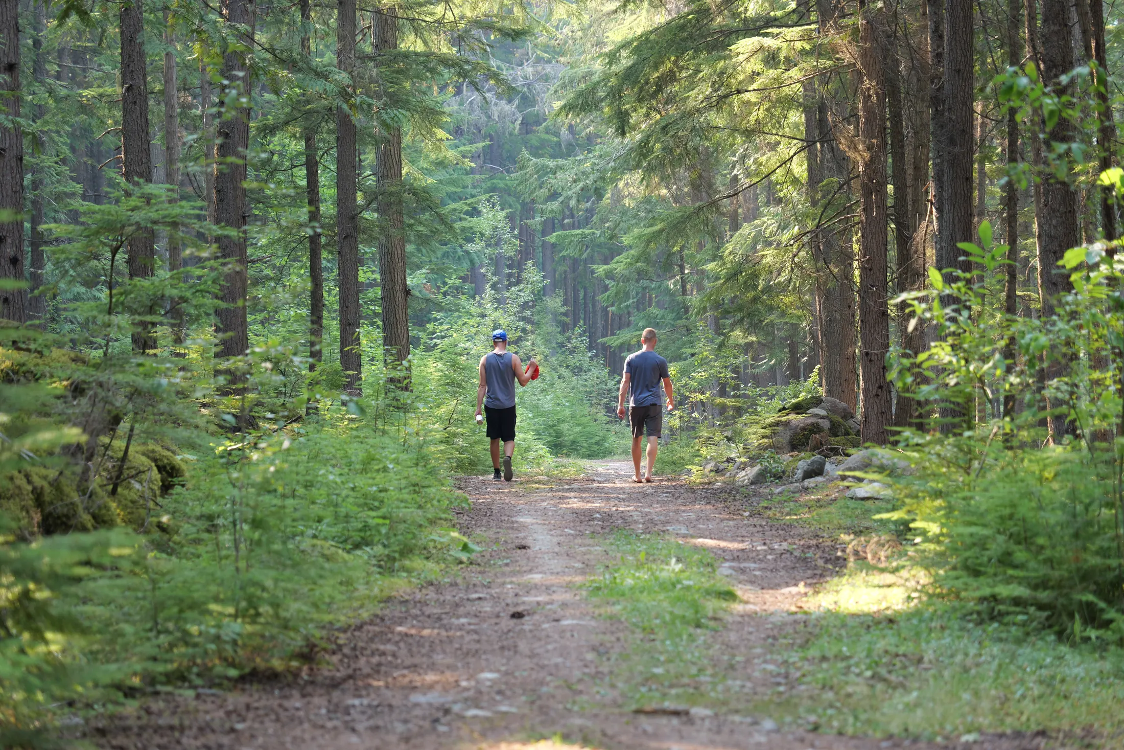 Two people walking through a forest path